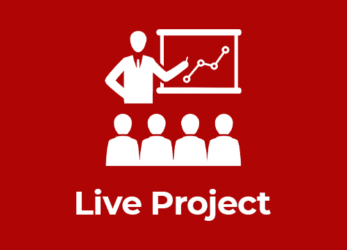 Live Project